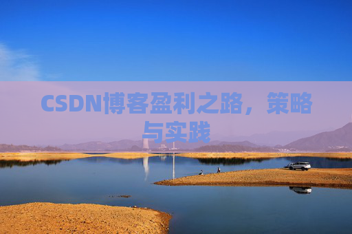 CSDN博客盈利之路,策略与实践